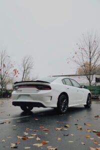 4095d336-9084-4dc4-b909-1bcaa9b0632b