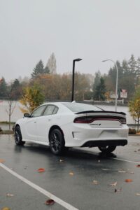 b43201a2-7ba0-489b-8ded-fb4f8d97b78f